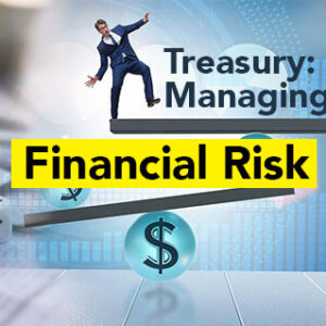 Treasury: Managing Financial Risk (Perbendaharaan: Mengelola Risiko Keuangan)